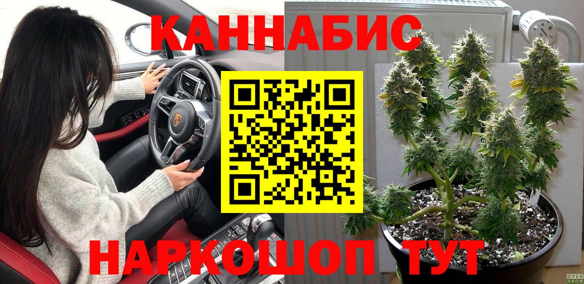 Каннабис индика Юрга